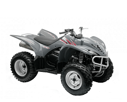 YFM450 Wolverine (06-09) YFM450 Wolverine (06-09)